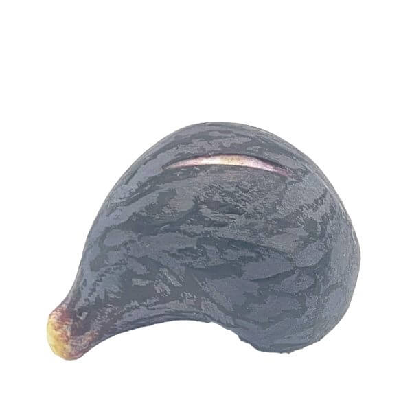 LF003 C Curved Purple Black Fig