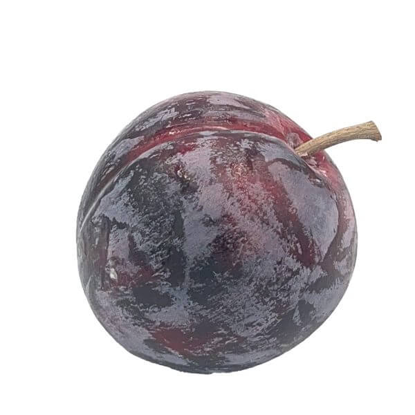 LF009 R Red Plum