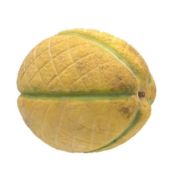 LF206 L Large Melon