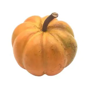 LV07 S Pumpkin