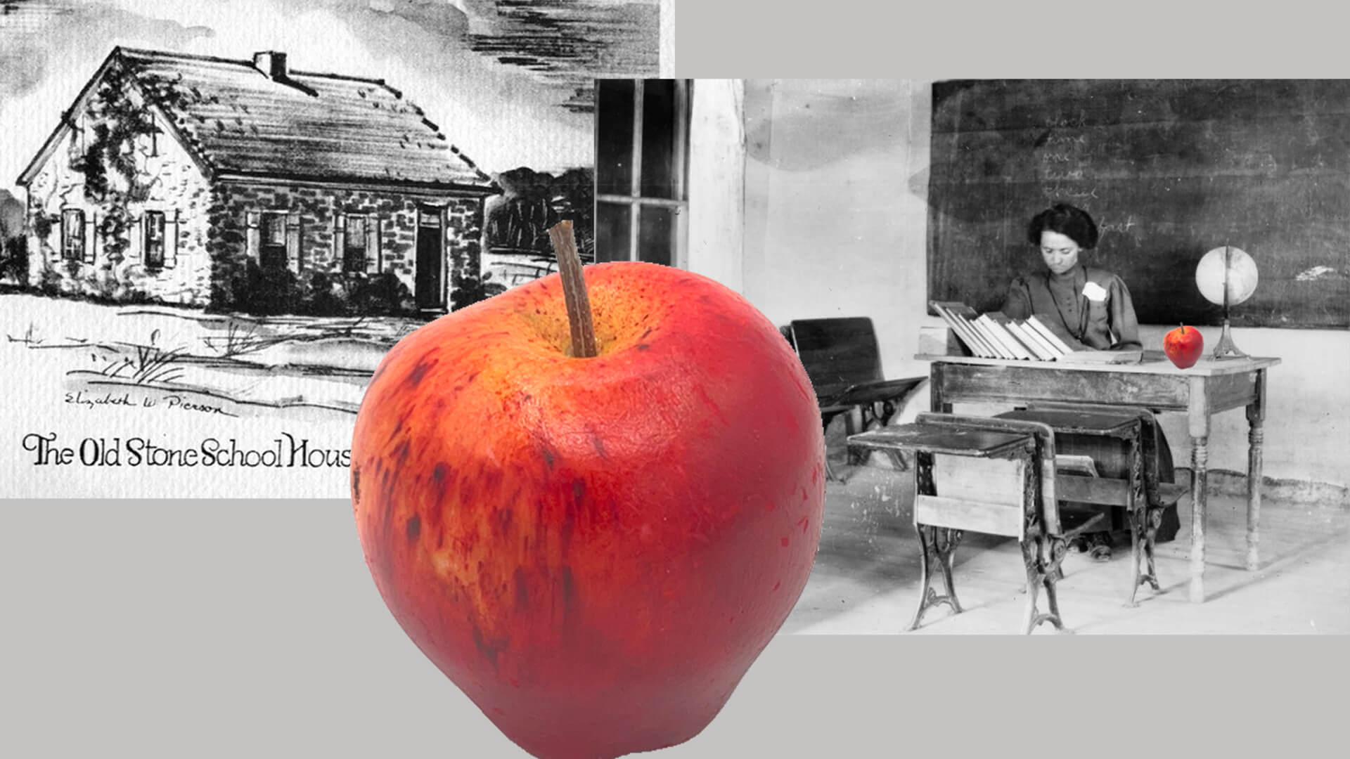 Teachers Apple Image