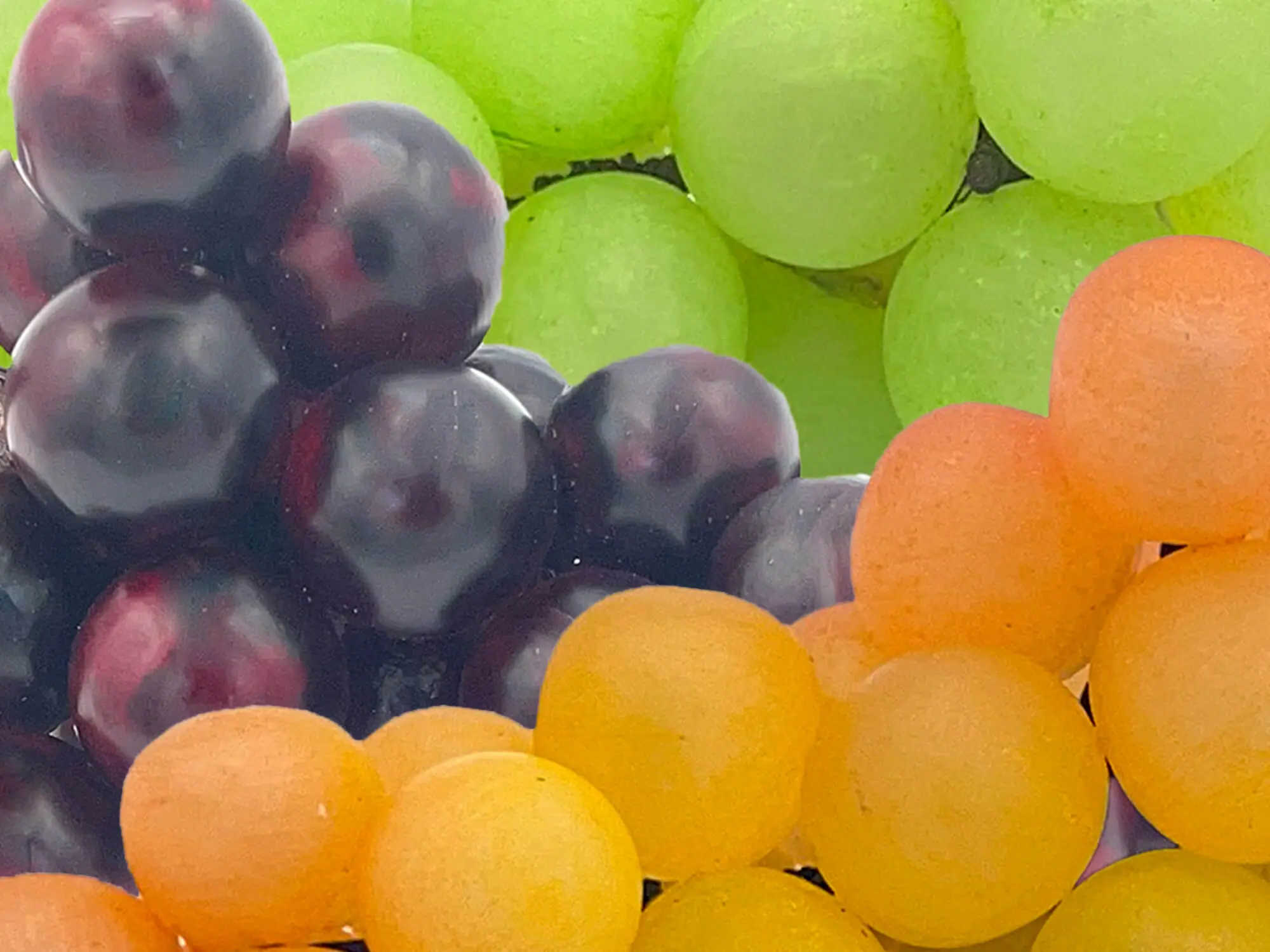 alabaster grapes